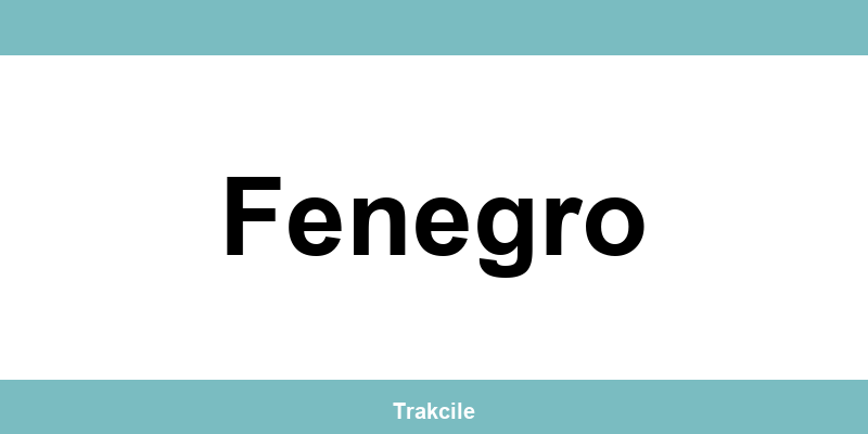 Numero di contatto della sede SDA Express situata a Fenegro