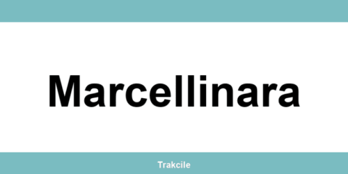 Numero di contatto della sede SDA Express situata a Marcellinara
