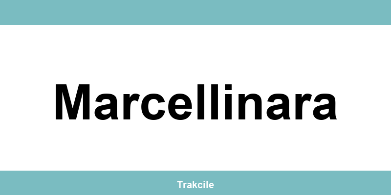 Numero di contatto della sede SDA Express situata a Marcellinara