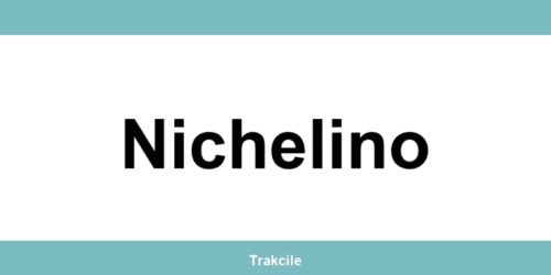 Numero di contatto della sede SDA Express situata a Nichelino