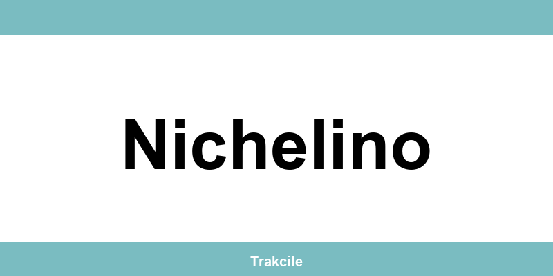 Numero di contatto della sede SDA Express situata a Nichelino